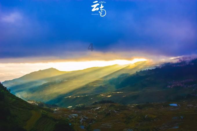 面包怎么做蓬松又柔软选对酵母是关键