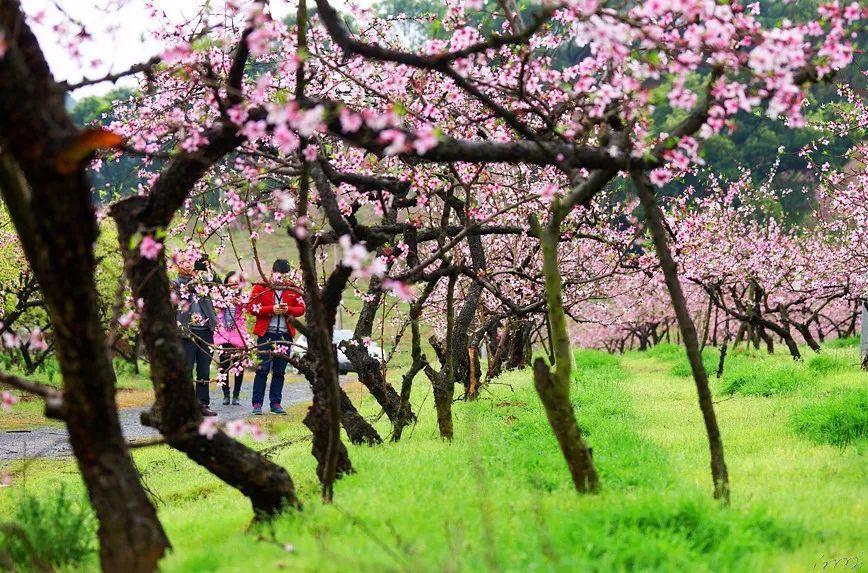 倍杰特(300774.SZ)：与和田地区行政公署签订战略合作框架协议