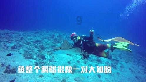 长春分局丨开展违法违规行为集中治理行动