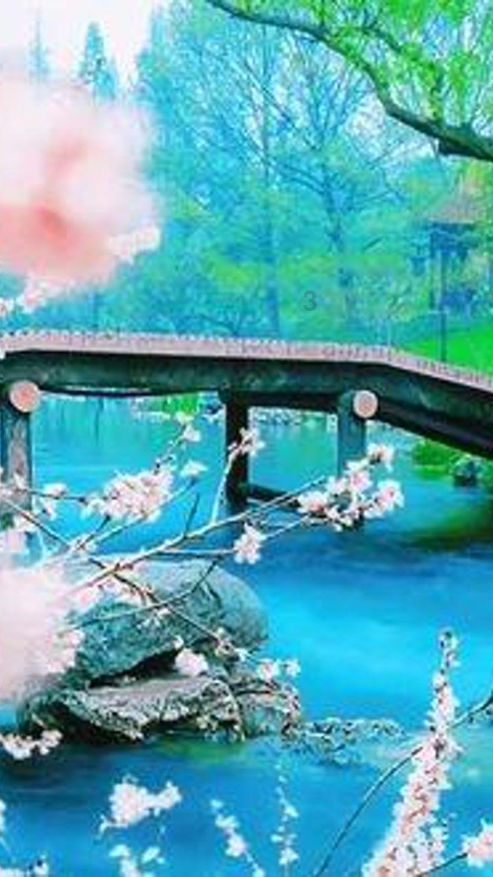 不厌其烦 零钱兑换